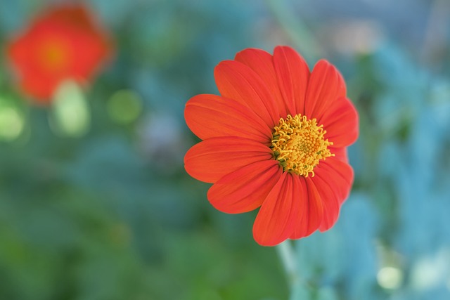 信心与节奏