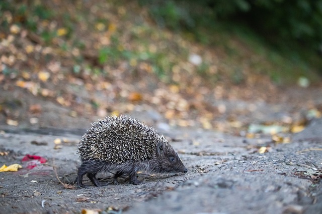 增强现实 增强现实