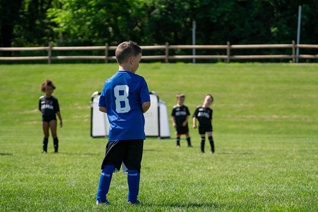 球员德利赫 球员德利赫