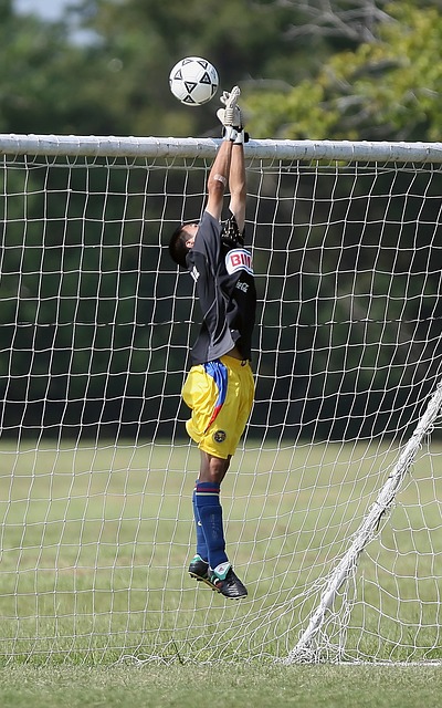 这一交易震 这一交易震