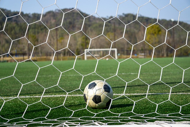 这不是一个 这不是一个