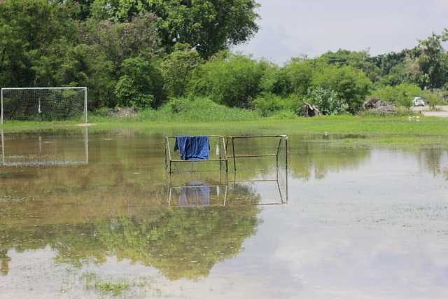 再度彰显 再度彰显
