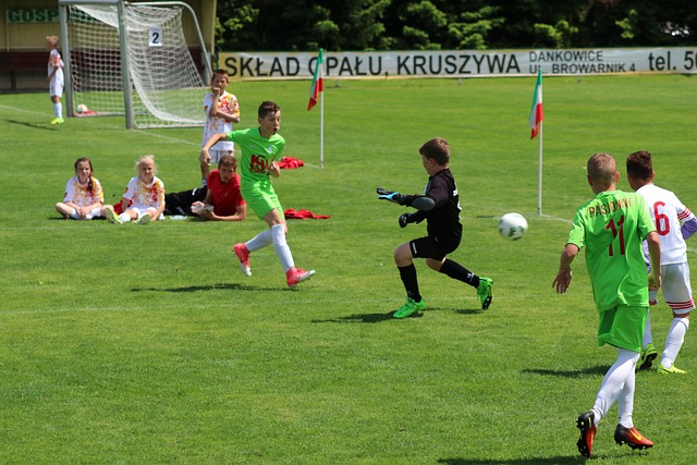 球场上的竞 球场上的竞