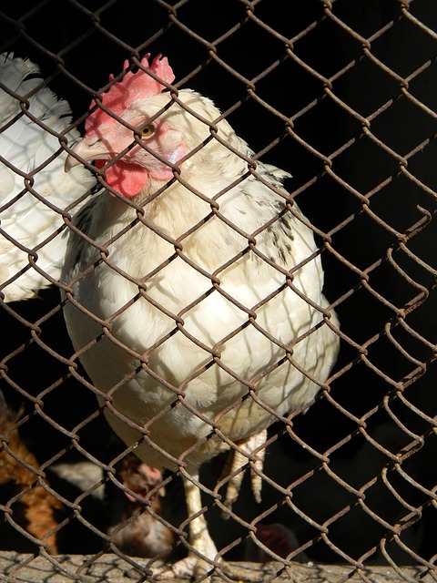 之间进行权 之间进行权