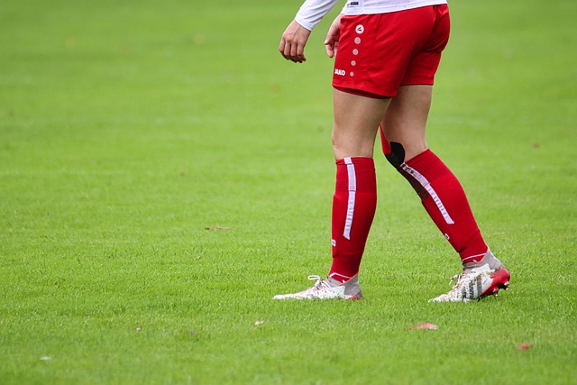 总体来说 总体来说